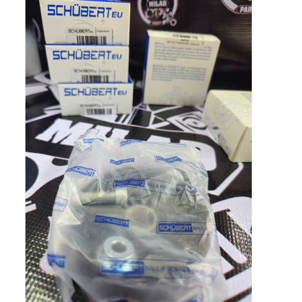 هرزگرد دینام پژو 405