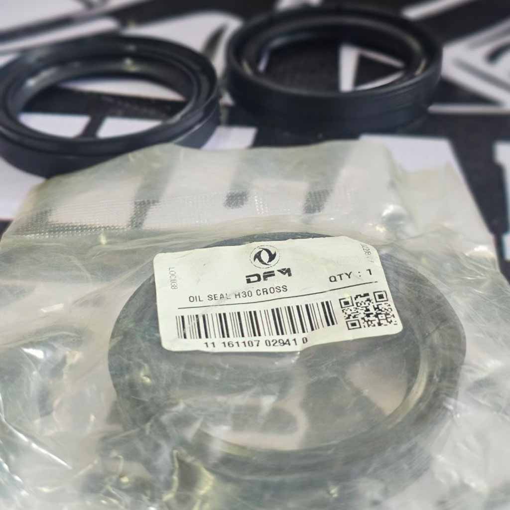 کاسه نمد اکسل عقب H30 cross