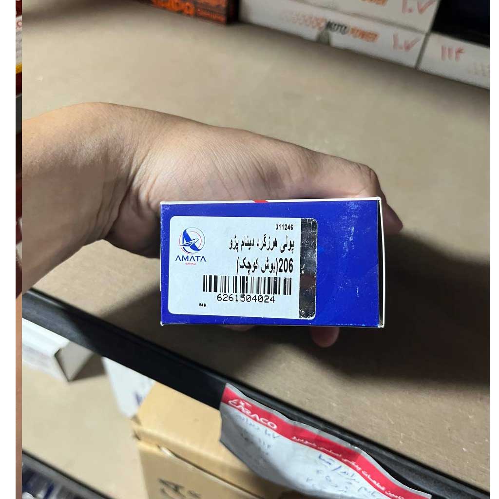 پولی هرزگرد ۲۰۶بوش کوچک