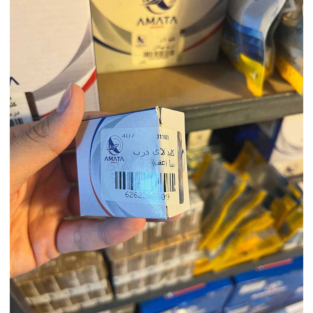 کلید لای درب تیبا عقب