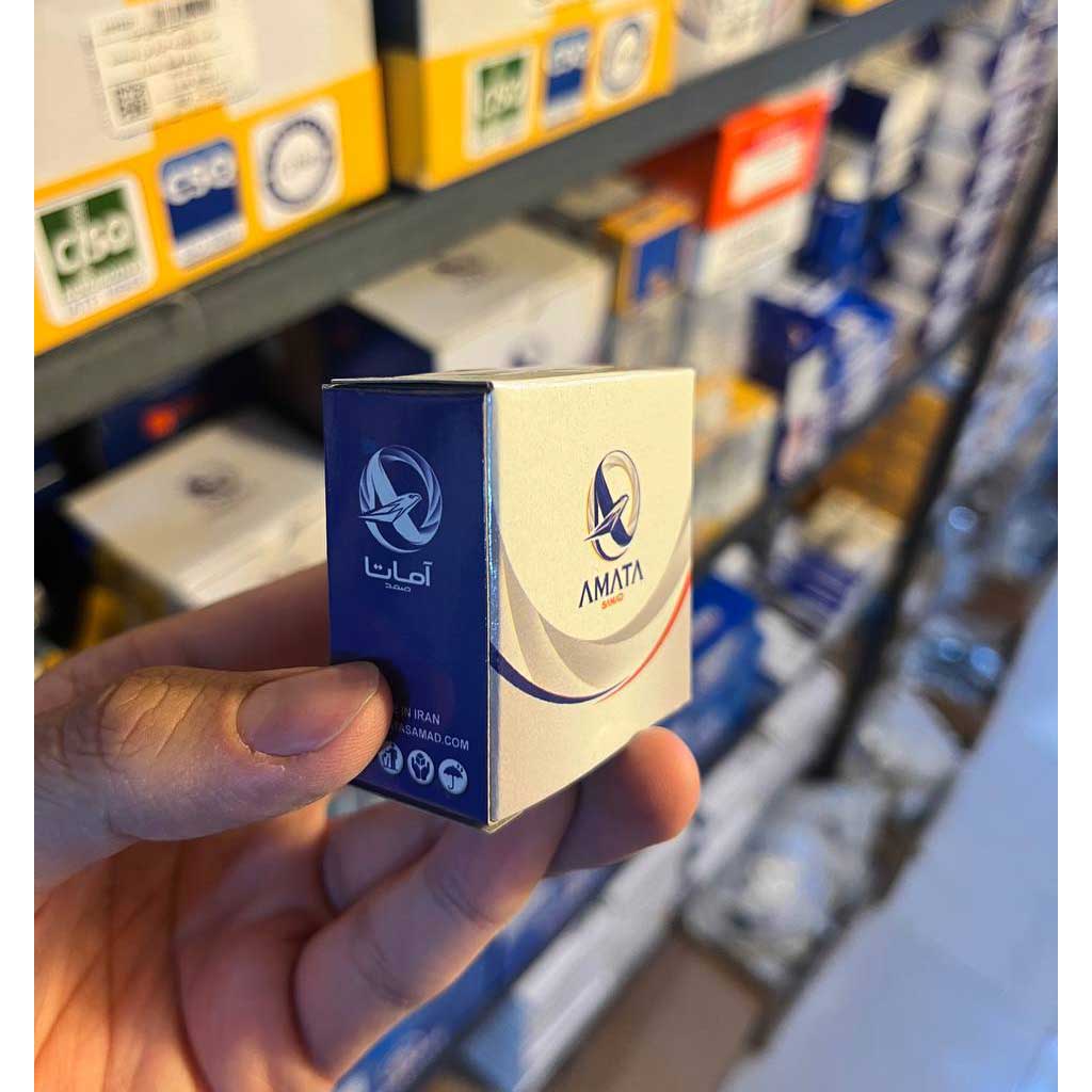 کلید لای درب سمند آماتاصمد