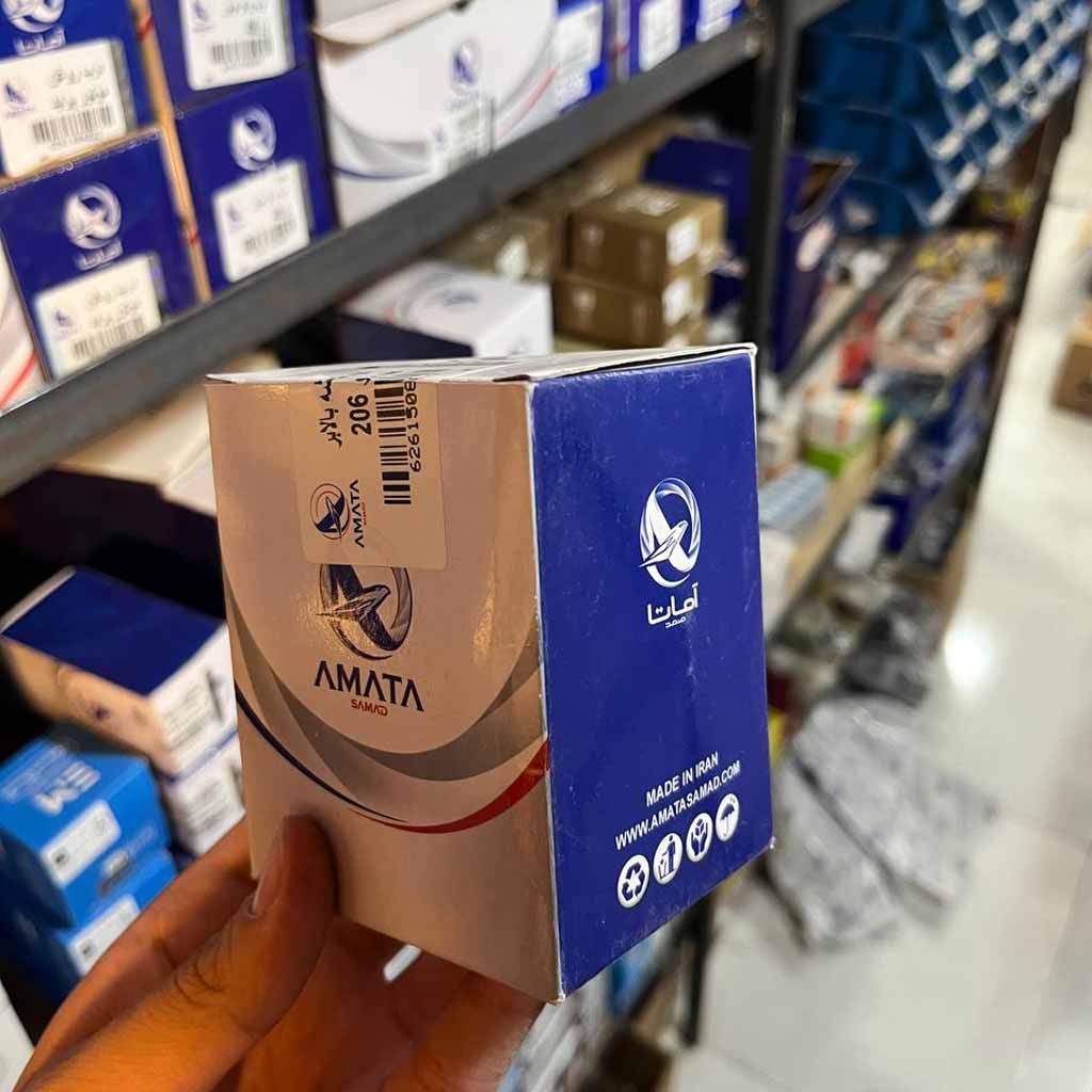 کلید شیشه بالابر عقب پژو۲۰۶