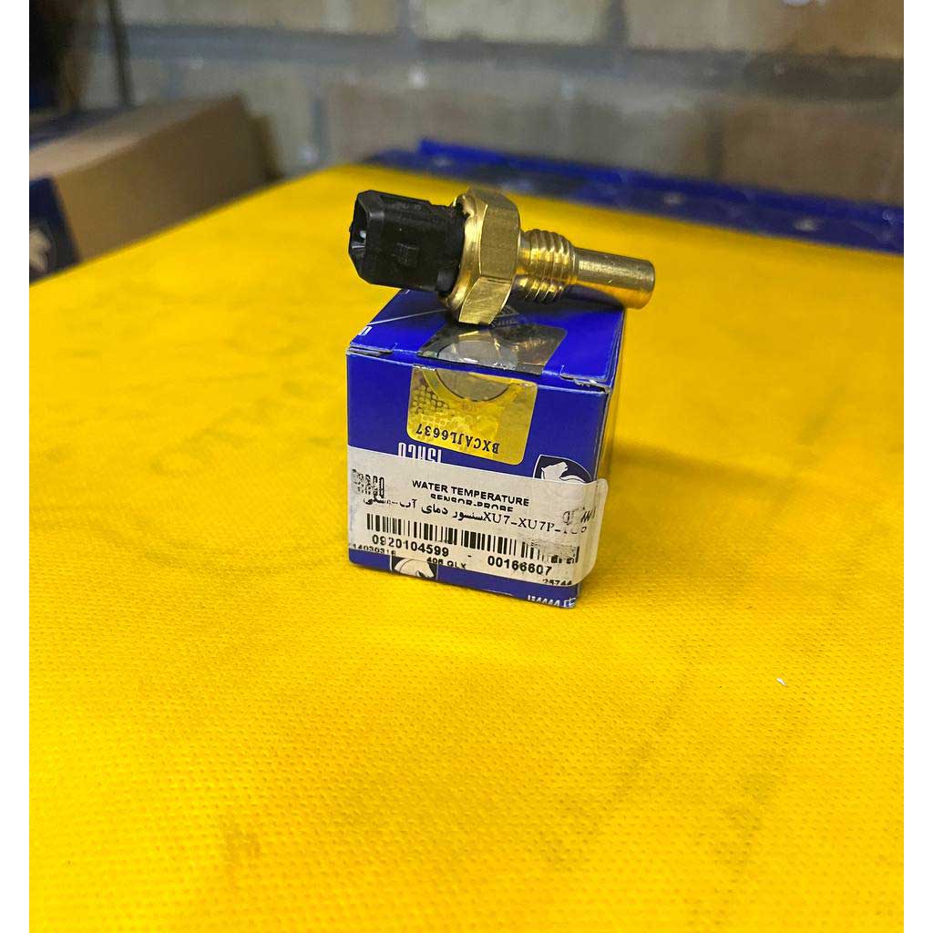 سنسور دمای آب مشکی